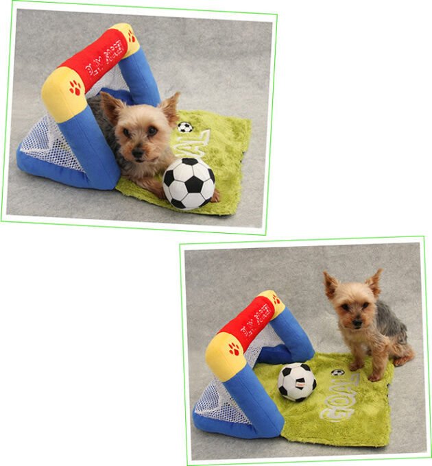 Soccer Goal Set for Pets - Image 3